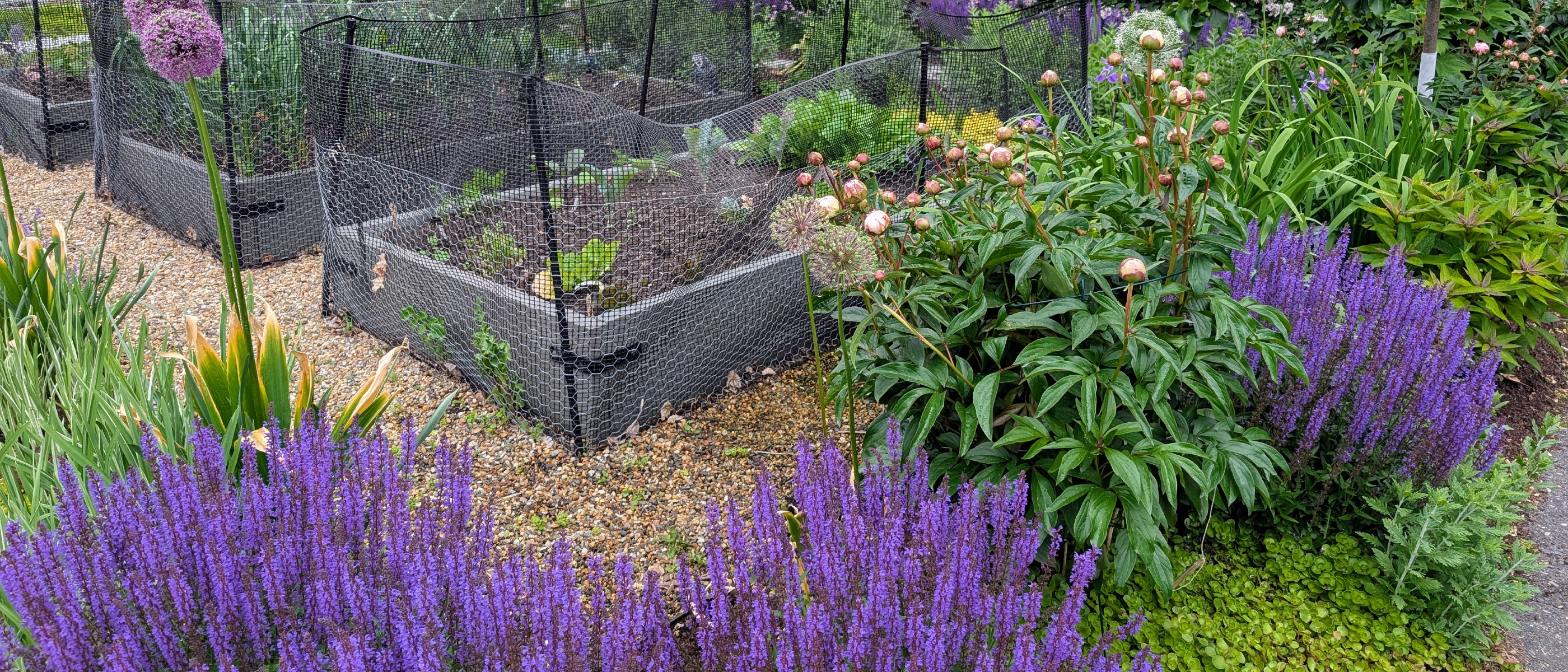 Introducing Garden133