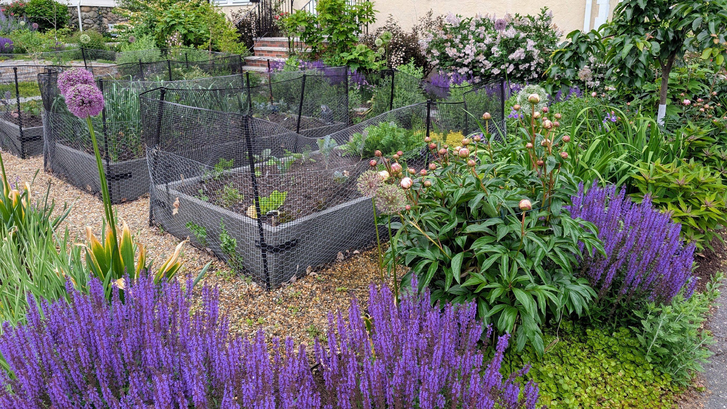 Introducing Garden133