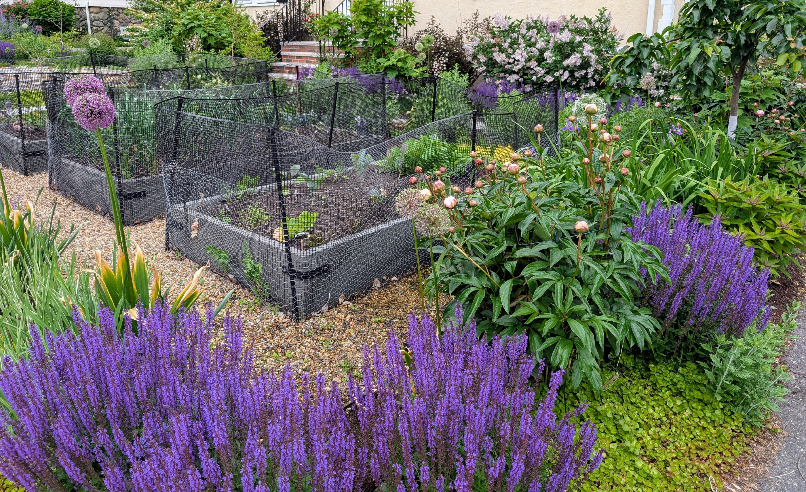 Garden133