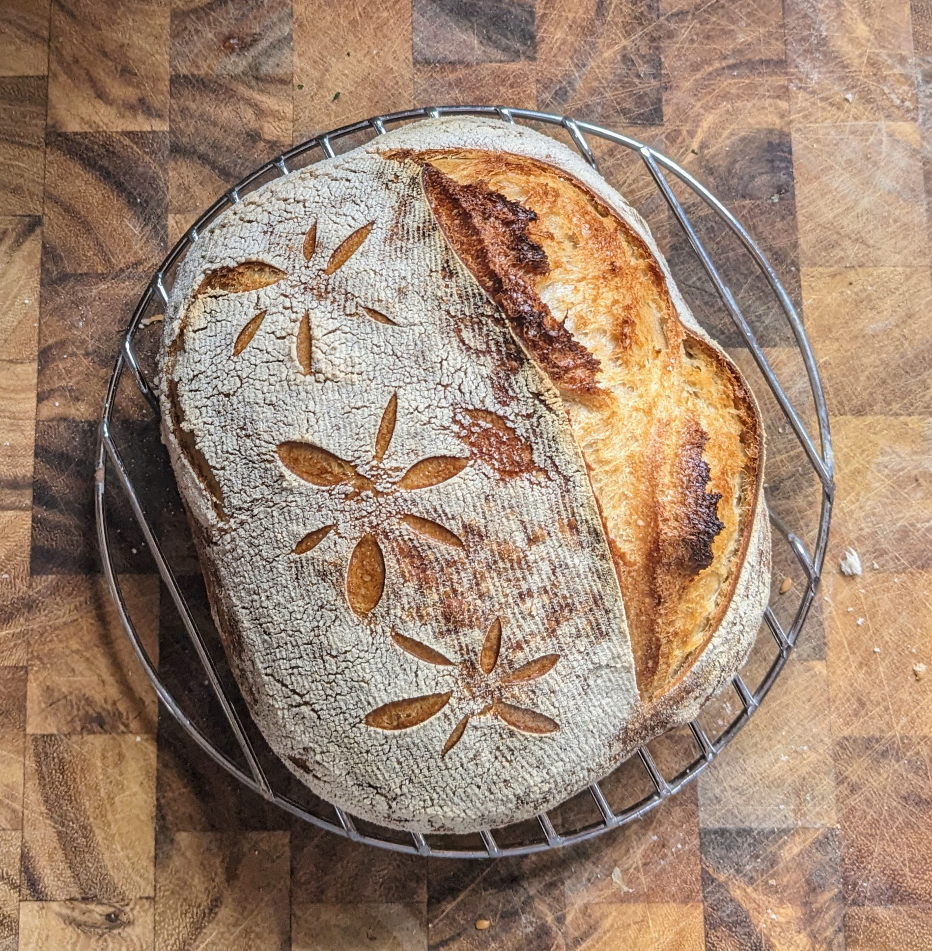 Sourdough loaf made with Dough133