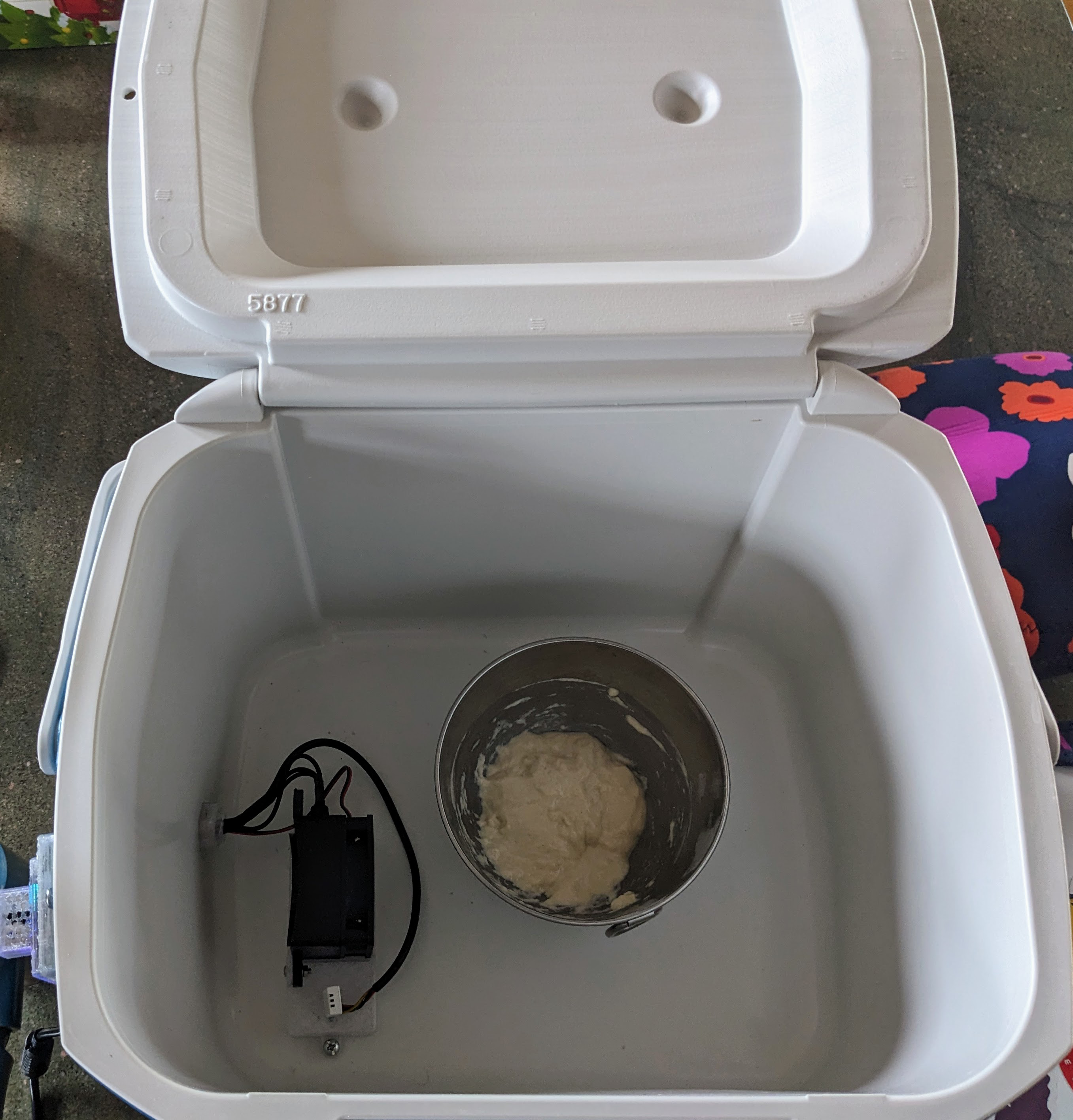 Cooler with heater and dough