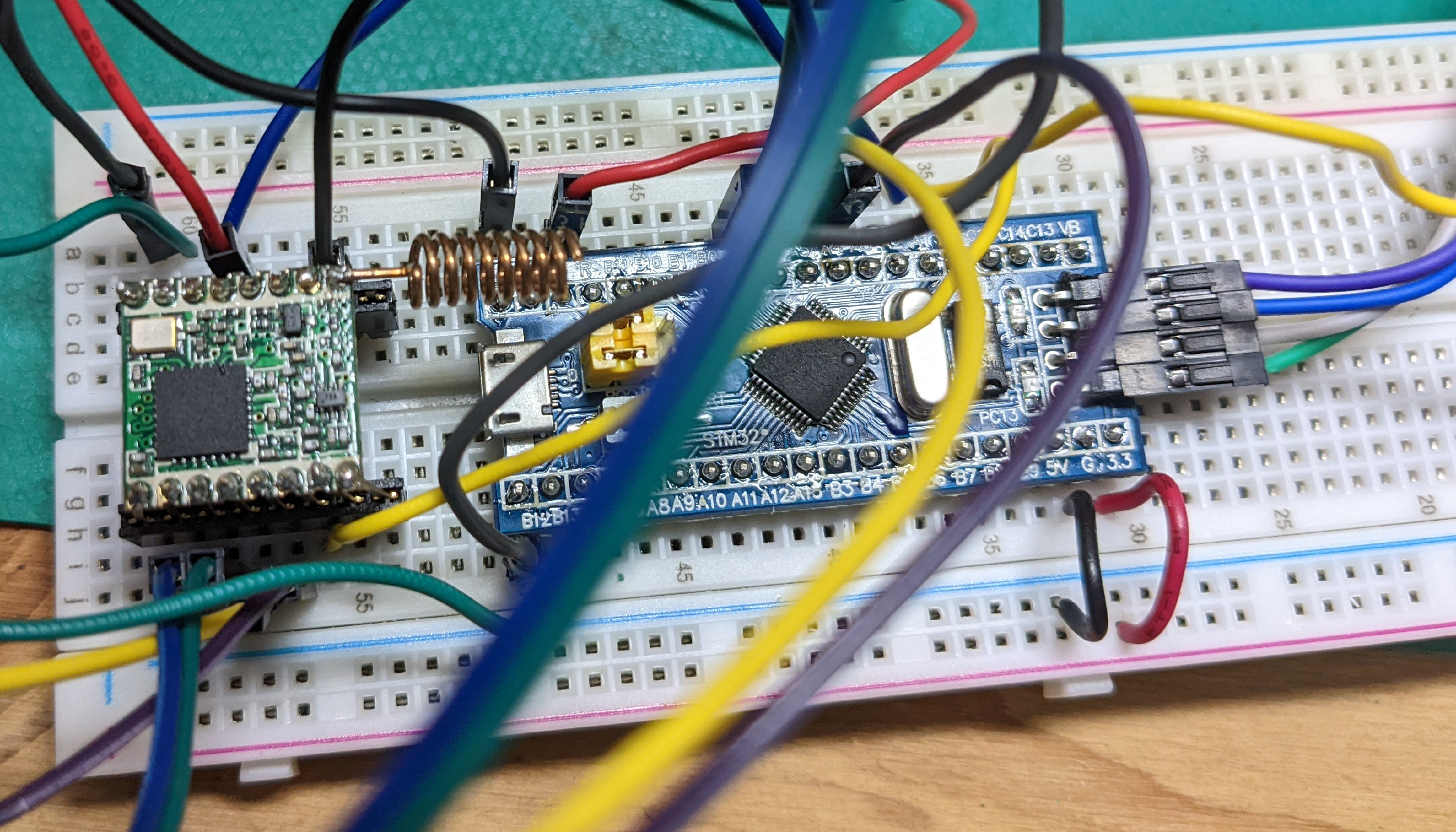 Prototype system with bluepill (STM clone)